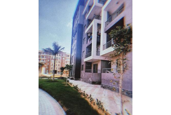 8493366 - Property Image 3