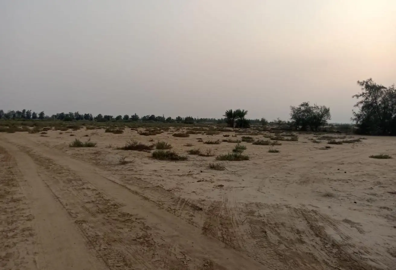 85043763 - الصورة الرئيسية للعقار