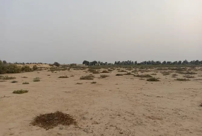 85043763 - صورة العقار 2