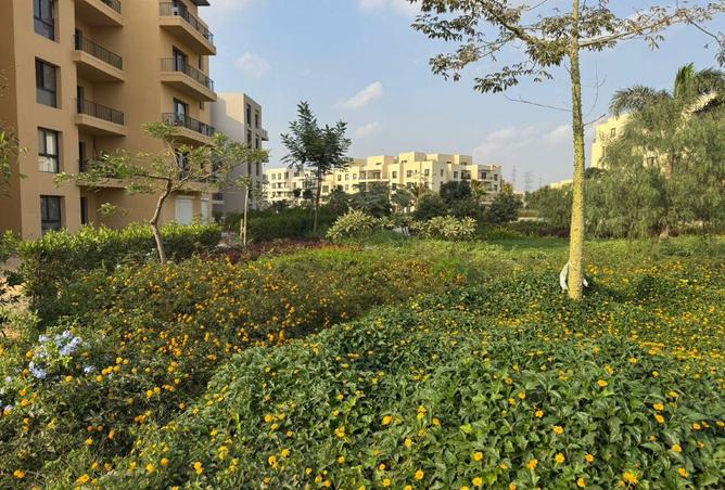 8560647 - الصورة الرئيسية للعقار