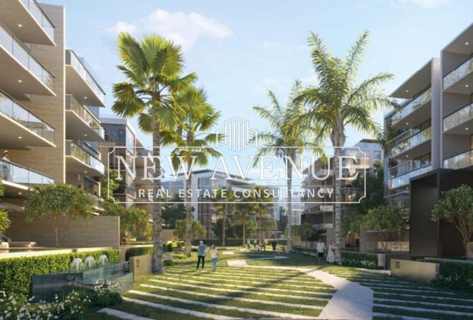 64645965 - Property Image 3