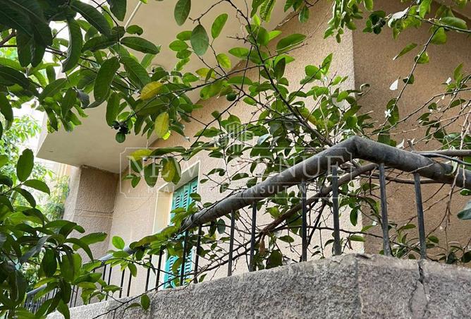 98816751 - صورة العقار 3