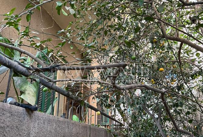 98816751 - صورة العقار 2