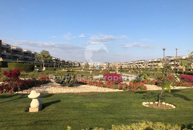 8427848 - Property Image 2