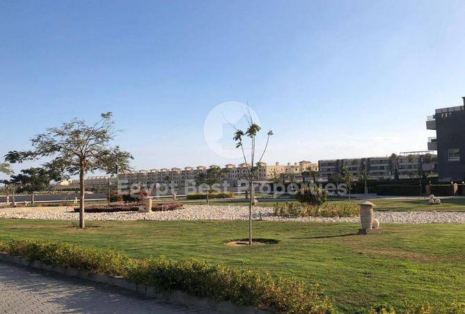 8427848 - Property Image 3