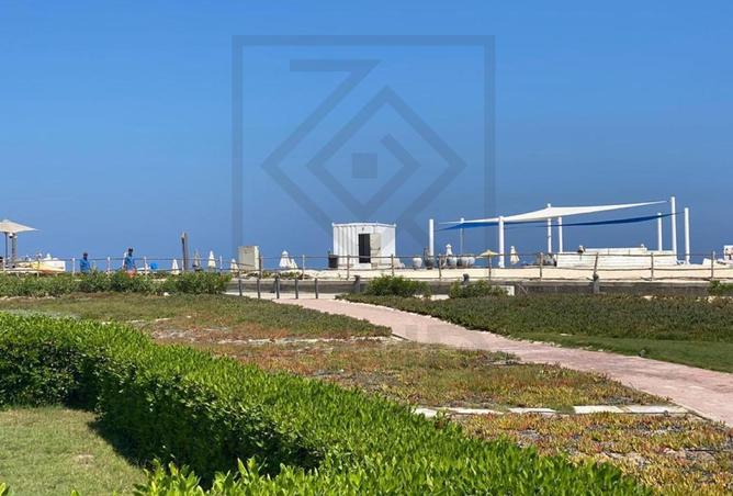 84519705 - Property Image 3