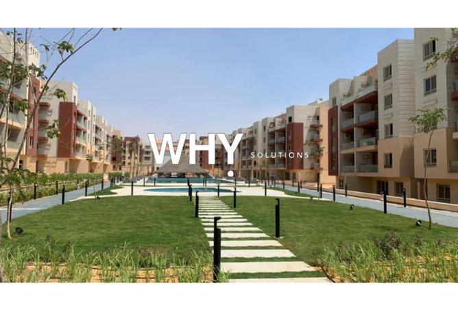 67215740 - Property Image 3