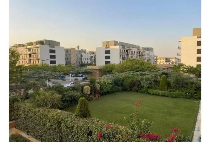 53732498 - Property Image 3