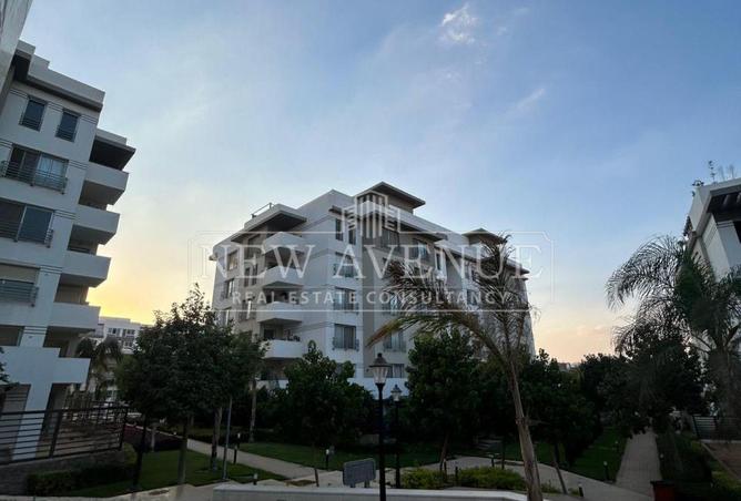 81298860 - صورة العقار 3