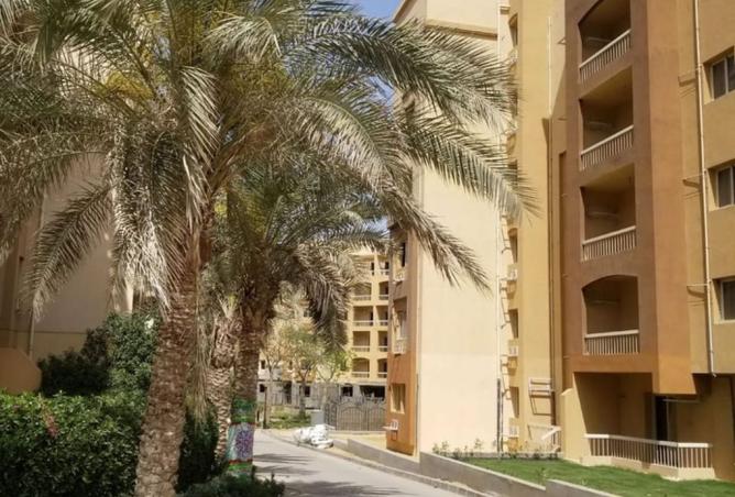 8525893 - صورة العقار 2