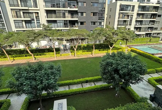 116756137 - Property Image 2