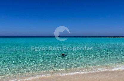 Villa - 5 Bedrooms - 5 Bathrooms for sale in Marsa Baghush - Qesm Marsa Matrouh - North Coast