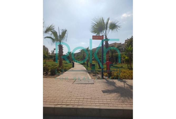 52453387 - Property Main Image