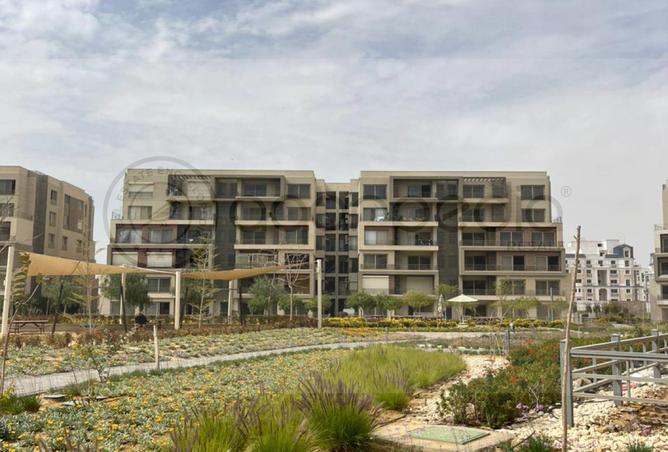 68003365 - صورة العقار 3