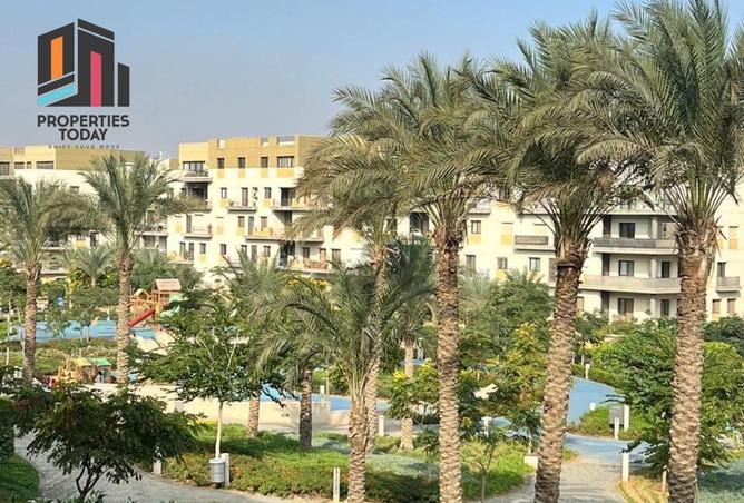 70356617 - صورة العقار 2