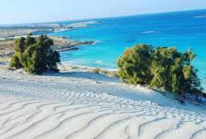 63144967 - Property Image 3