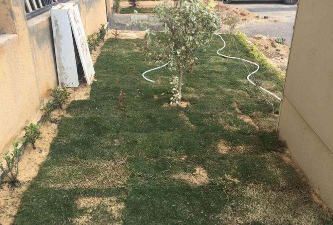 55259207 - الصورة الرئيسية للعقار