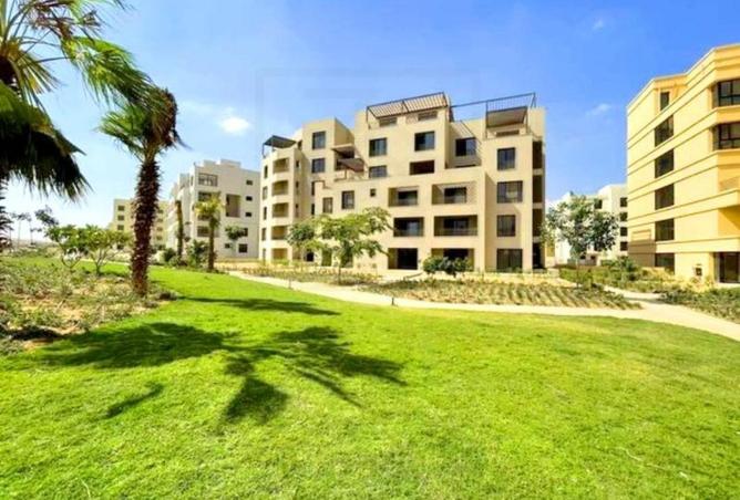 8642058 - Property Image 3