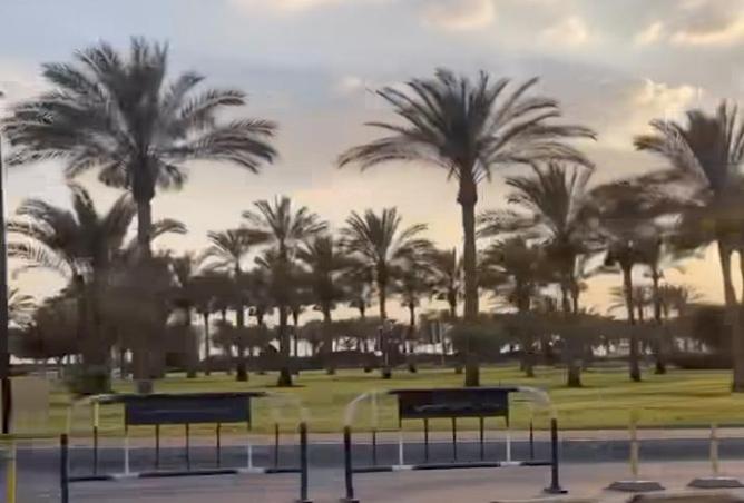 79980314 - صورة العقار 2