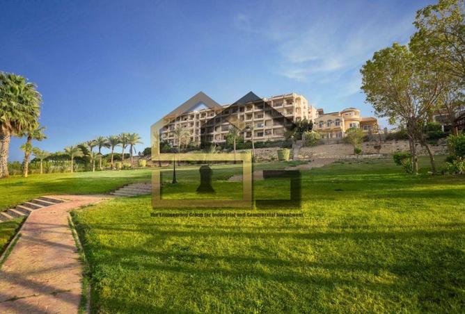 8579343 - Property Image 3