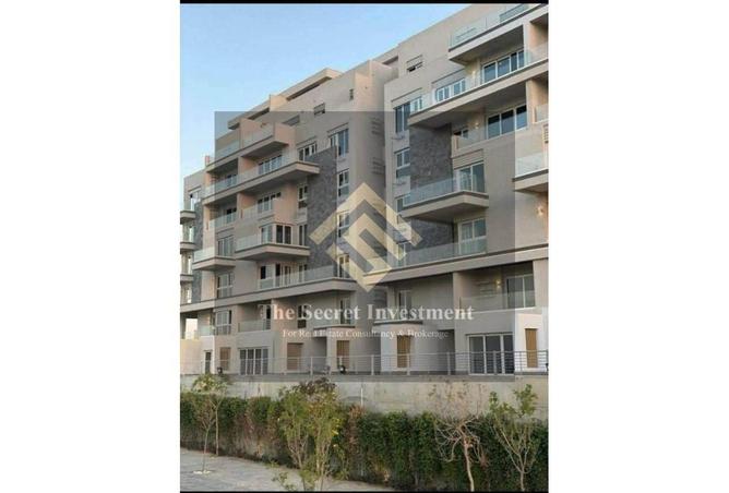 66941874 - Property Image 3