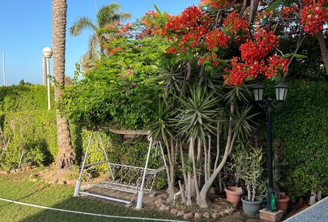 8497486 - Property Image 3