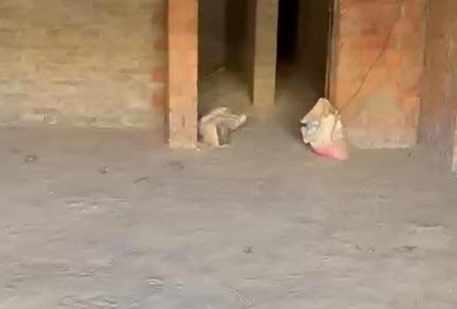 53976214 - Property Image 2