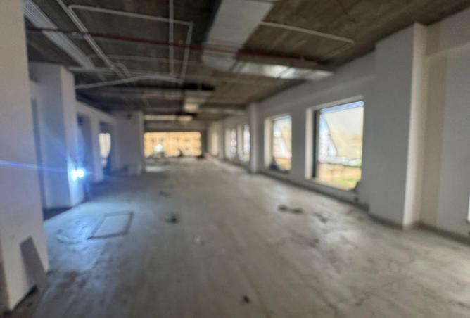 64371668 - Property Image 3