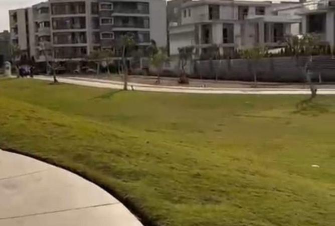 54234452 - Property Image 2