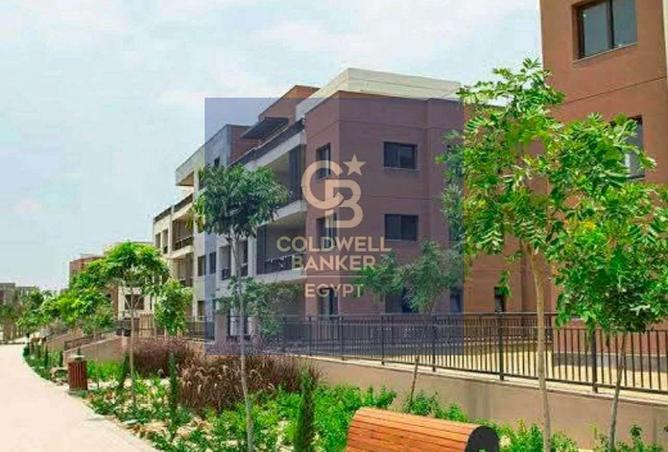 55998161 - صورة العقار 2