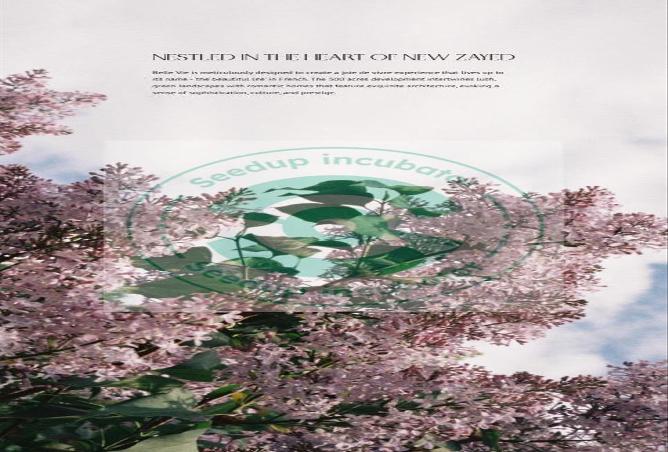 60718837 - صورة العقار 2