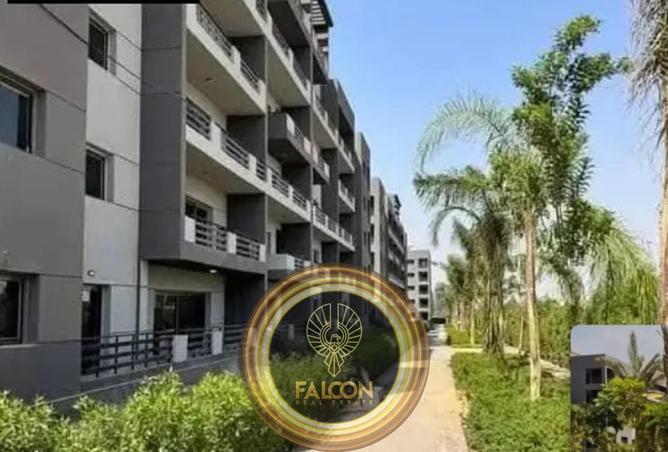 62404448 - Property Image 3