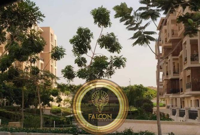 56245990 - صورة العقار 3