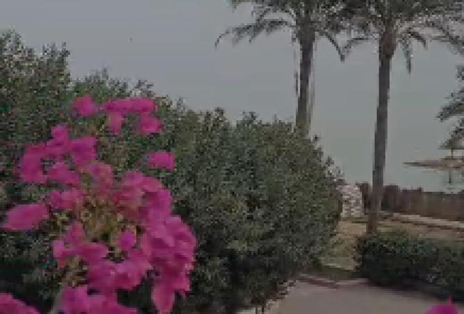 108801527 - صورة العقار 2
