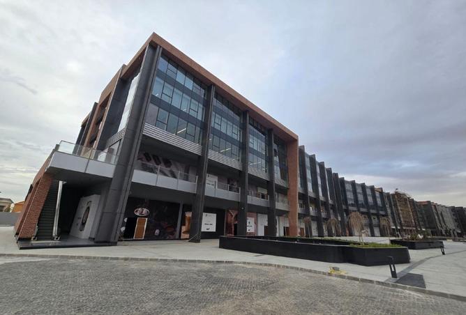 66174423 - Property Main Image