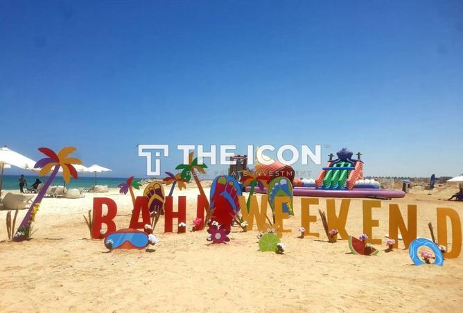 66436718 - Property Image 3