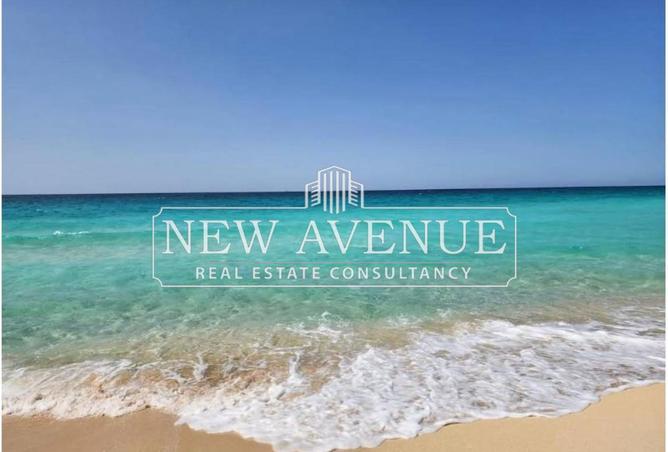 56511198 - Property Main Image