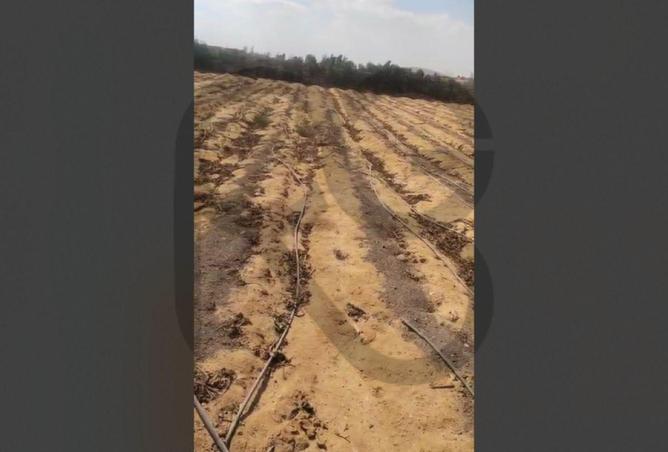 62644973 - Property Image 3