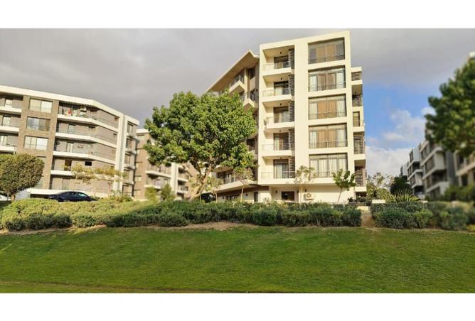 70368444 - Property Image 3