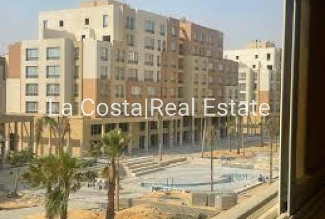 8587370 - Property Image 3