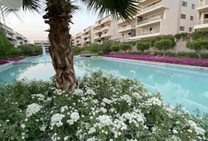 100918548 - Property Image 3
