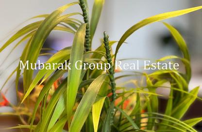 شقة - 3 - 3 للايجار في شارع 206 - دجلة - حي المعادي - القاهرة شقة - 3 - 3 للايجار في شارع 206 - دجلة - حي المعادي - القاهرة