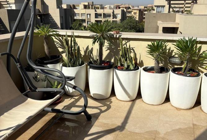 80274989 - Property Image 3
