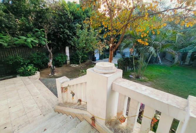 71917019 - Property Image 3