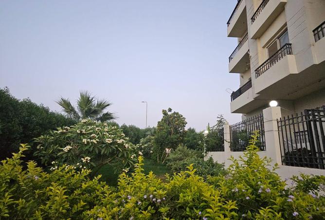 62883927 - الصورة الرئيسية للعقار