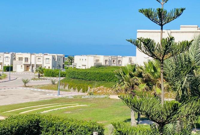 56256438 - الصورة الرئيسية للعقار