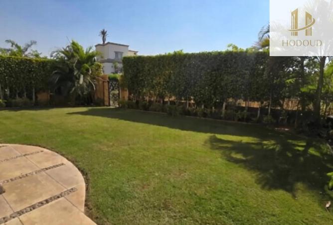 56744856 - Property Image 3