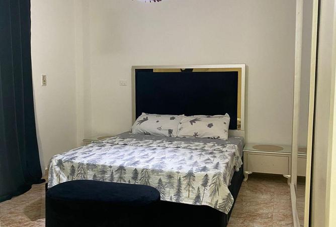 67736026 - Property Image 3