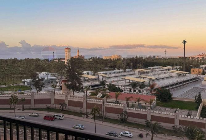 52456734 - Property Main Image