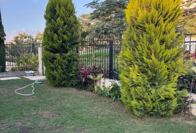 114623116 - Property Image 2
